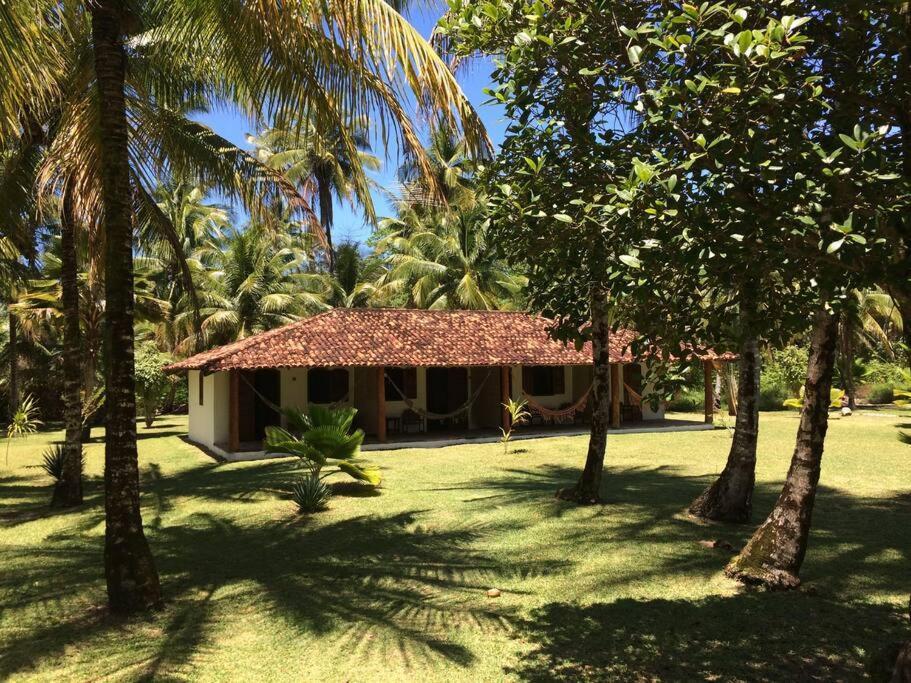 Casinha Jardim Das Palmeiras Morro de São Paulo Extérieur photo